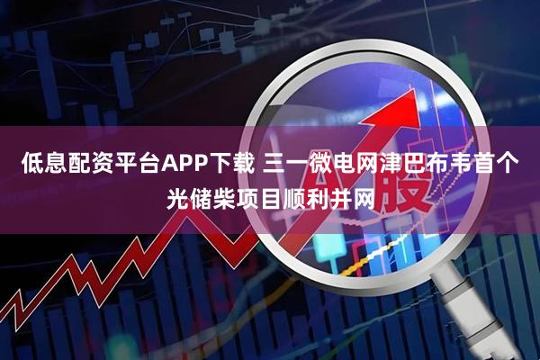 低息配资平台APP下载 三一微电网津巴布韦首个光储柴项目顺利并网