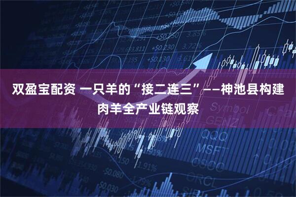 双盈宝配资 一只羊的“接二连三”——神池县构建肉羊全产业链观察
