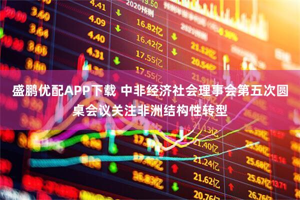 盛鹏优配APP下载 中非经济社会理事会第五次圆桌会议关注非洲结构性转型